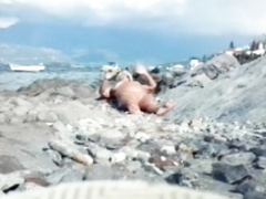 Plump cougar sunbathes on the rocky beach